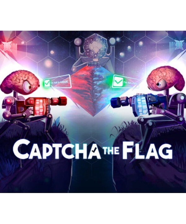 Captcha The Flag Steam Key GLOBAL